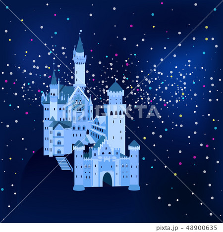 vector illustration, Neuschwanstein Castle in Germany at night 48900635