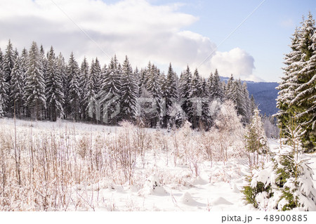 A wonderful winter landscape in beautiful Bavaria 48900885