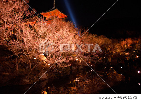 京都東山花灯路2019清水寺 京都東山花灯路2019清水寺 48901579