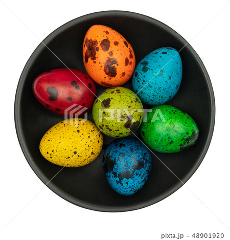 Colorful easter eggs  48901920