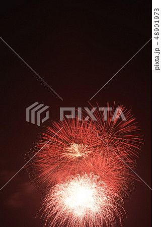 横須賀開国祭の花火大会 48901973