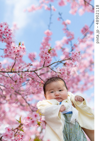 桜と家族写真 桜と家族写真 48902118