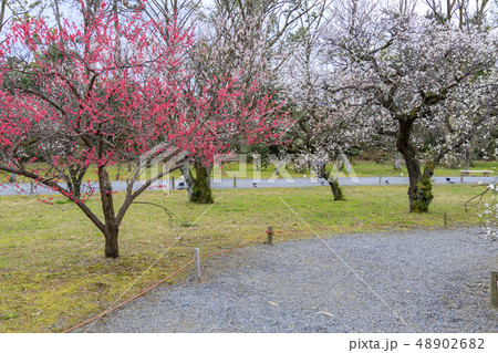 二条城 二条城 48902682