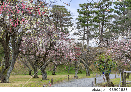 二条城 二条城 48902683