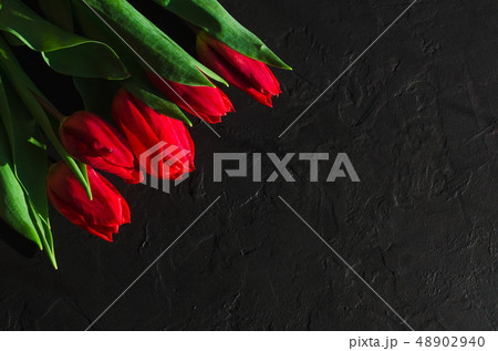 Row of red tulips against a dark background with space for the text. Festive flower background for a Row of red tulips against a dark background with space for the text. Festive flower background for a 48902940