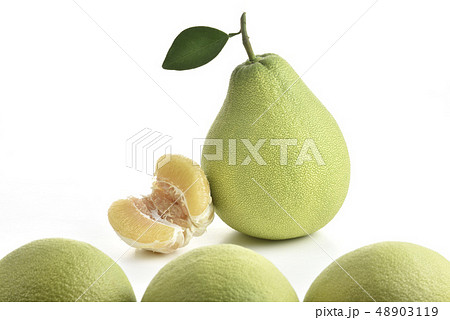 フルーツ 果物 果実 48903119