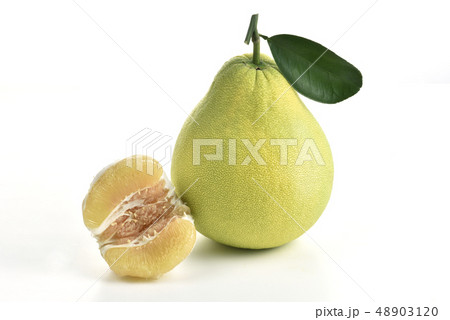 フルーツ 果物 果実 48903120