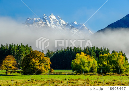 グレノーキー 48903447