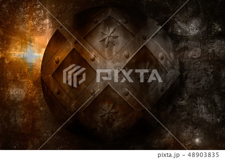 medieval shield over dark castle stone wall 48903835