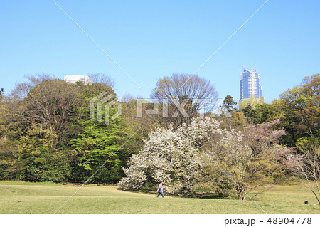 明治神宮 48904778