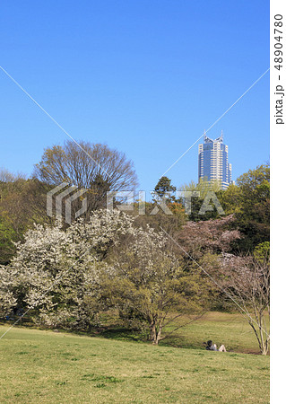 明治神宮 48904780