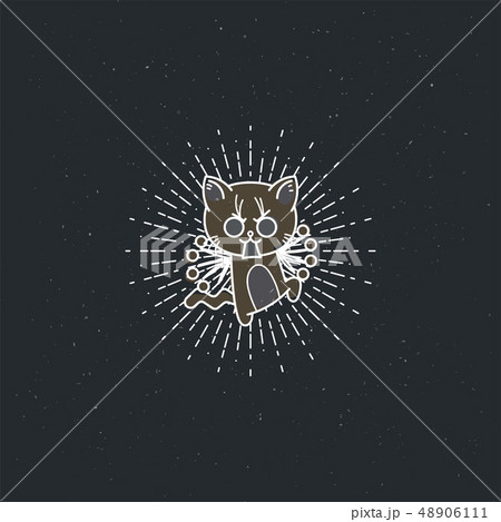 Vector illustration of a bristling cartoon cat Vector illustration of a bristling cartoon cat 48906111