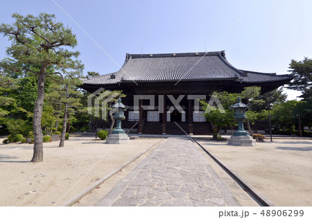 知恩寺 御影堂 知恩寺 御影堂 48906299