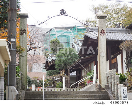 白山神社 48906673