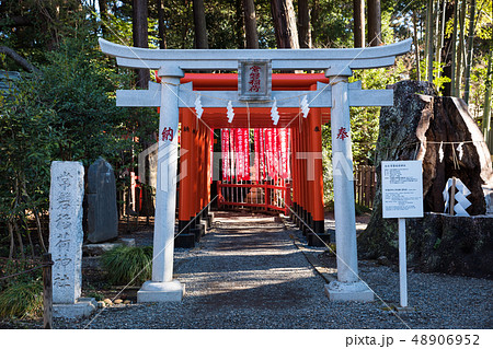 常磐神社 常磐稲荷神社 (茨城県水戸市) ※2019年3月現在 常磐神社 常磐稲荷神社 (茨城県水戸市) ※2019年3月現在 48906952