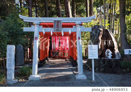 常磐神社 常磐稲荷神社 (茨城県水戸市) ※2019年3月現在 常磐神社 常磐稲荷神社 (茨城県水戸市) ※2019年3月現在 48906953
