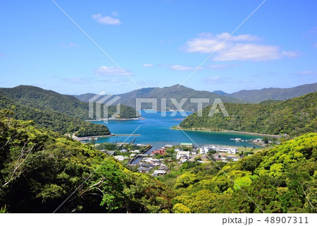 <奄美大島> ふるさとの風景~春~名柄 4 <奄美大島> ふるさとの風景~春~名柄 4 48907311
