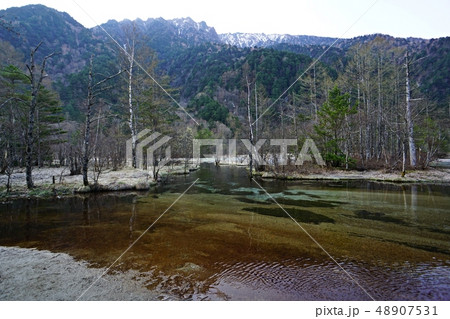 早朝の田代池 上高地 早朝の田代池 上高地 48907531