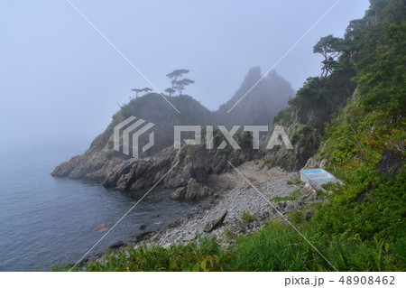 久慈―小袖漁港の風景 48908462