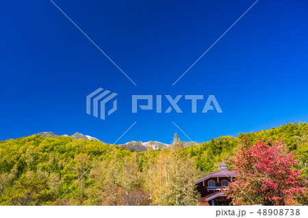 (長野県)秋の乗鞍高原 一の瀬園地 (長野県)秋の乗鞍高原 一の瀬園地 48908738