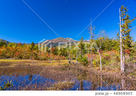 （長野県）秋の乗鞍高原　まいめの池 48908905