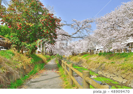 行屋川 行屋川 48909470