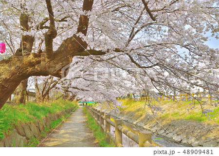 行屋川 行屋川 48909481
