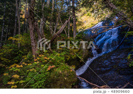 （長野県）紅葉の乗鞍高原　三本滝から流れ出る川 48909660