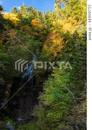 （長野県）紅葉の乗鞍高原　三本滝 48909755