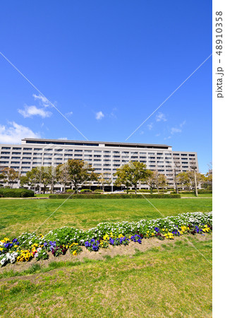 福岡県　風景　福岡県庁 48910358