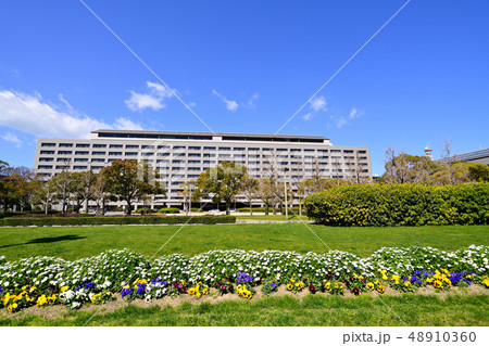 福岡県　風景　福岡県庁 48910360