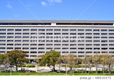 福岡県　風景　福岡県庁 48910375
