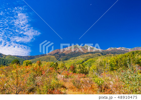 （長野県）秋の乗鞍高原　一の瀬園地 48910475