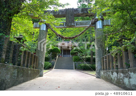 﨑津諏訪神社 48910611