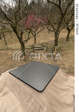 梅林に炬燵 48910618