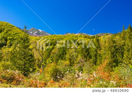 （長野県）秋の乗鞍高原　一の瀬園地　落月 48910690