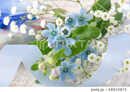 ブルースター(オキシトペタルム)の花束とプレゼント 父の日 ブルーのリボン ブルースター(オキシトペタルム)の花束とプレゼント 父の日 ブルーのリボン 48910873
