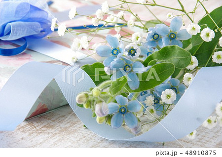 ブルースター(オキシトペタルム)の花束とプレゼント 父の日 ブルーのリボン ブルースター(オキシトペタルム)の花束とプレゼント 父の日 ブルーのリボン 48910875