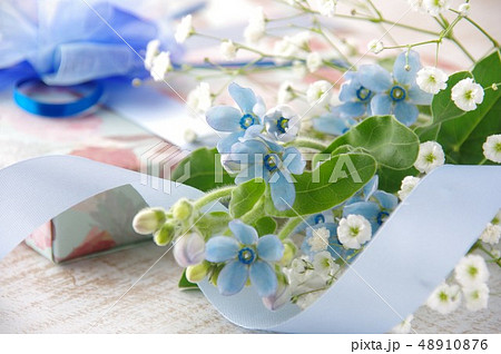 ブルースター オキシトペタルム の花束とプレゼント 父の日 ブルーのリボンの写真素材