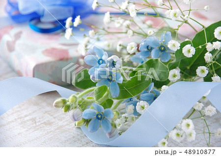 ブルースター オキシトペタルム の花束とプレゼント ブルースター 父の日 ブルーのリボンの写真素材