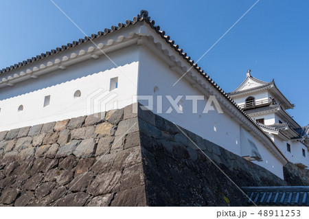 青空と白石城 48911253