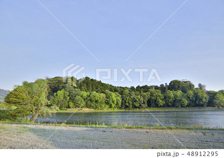 箸墓古墳 48912295