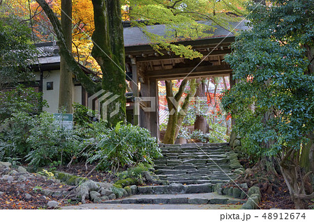瑞宝寺公園　有馬温泉郷　紅葉 48912674