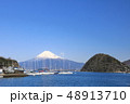 内浦湾、停泊中のヨット 48913710