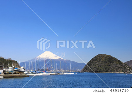 内浦湾、停泊中のヨット 48913710