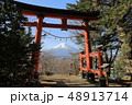 新倉山浅間公園の大鳥居 48913714