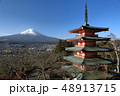 新倉山浅間公園人気ポイント 48913715