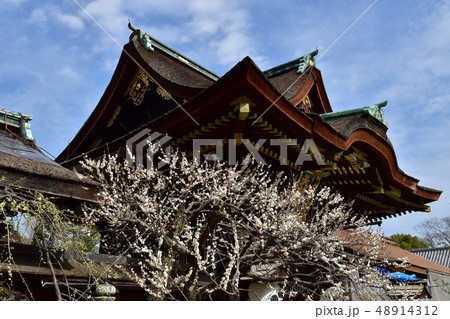 北野天満宮 48914312