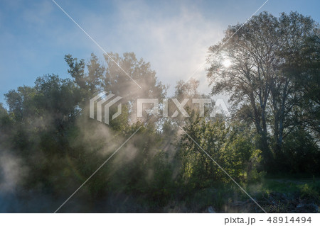 Landscape with fog and sun rays 48914494