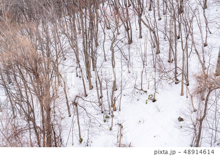 雪山イメージ 雪山イメージ 48914614